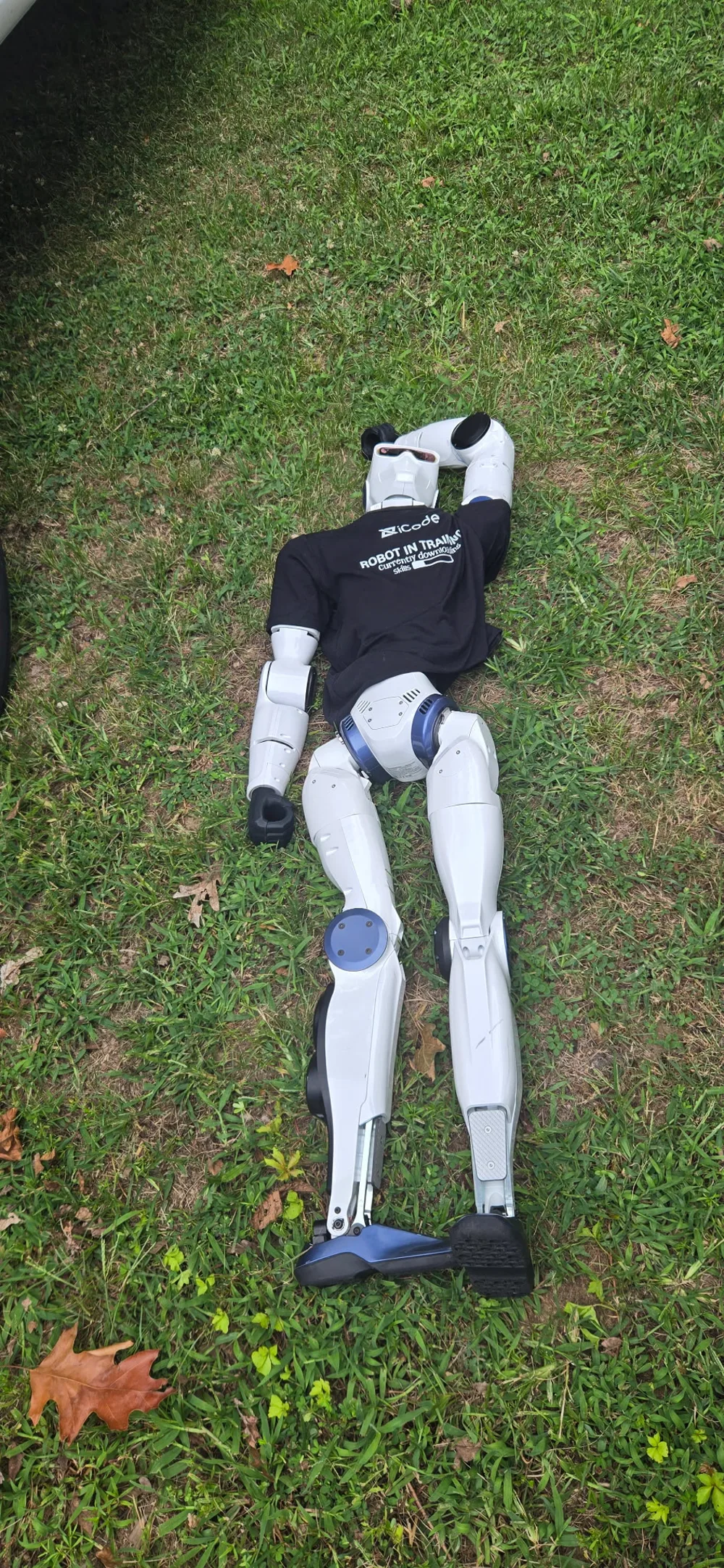 iZak resting on the grass after a community event